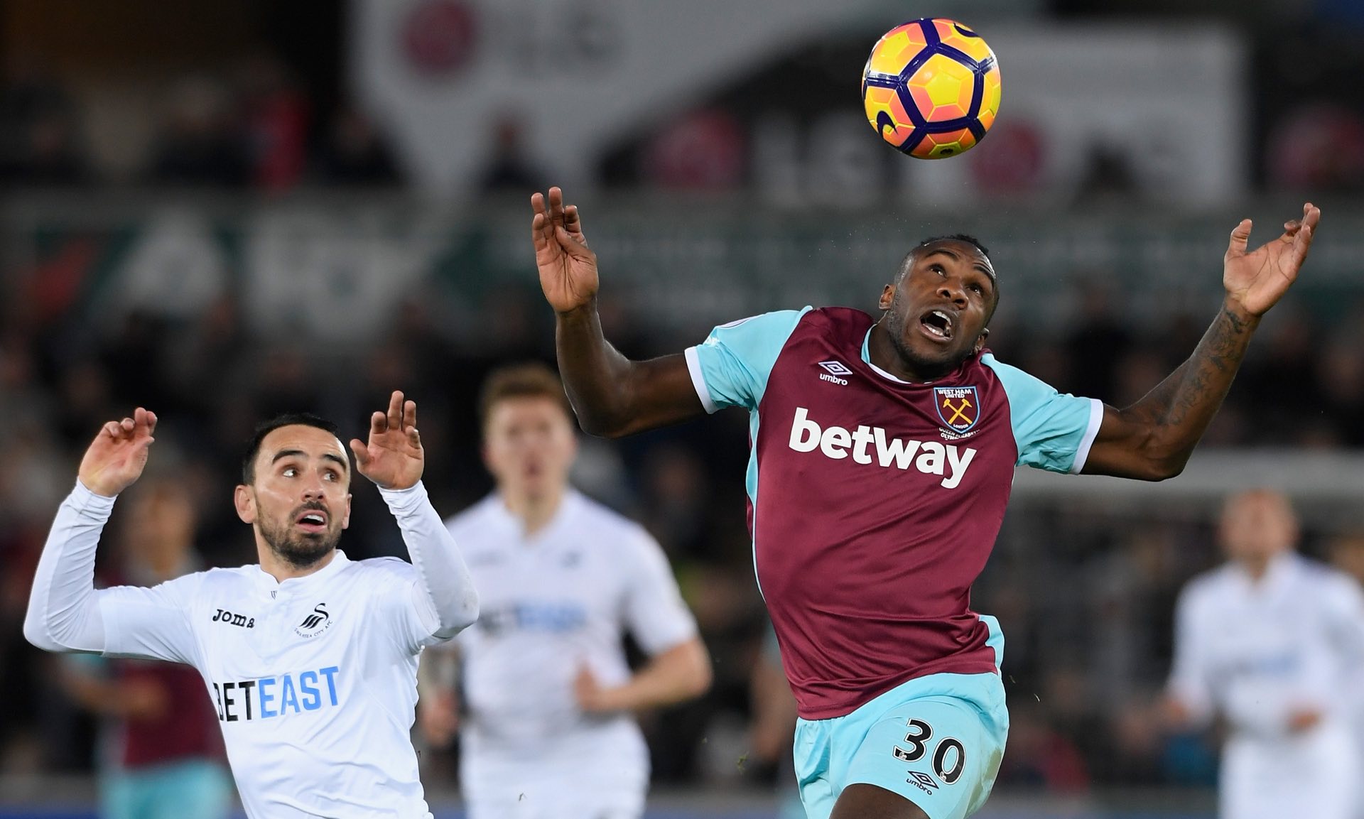 关注的动态 关注的动态